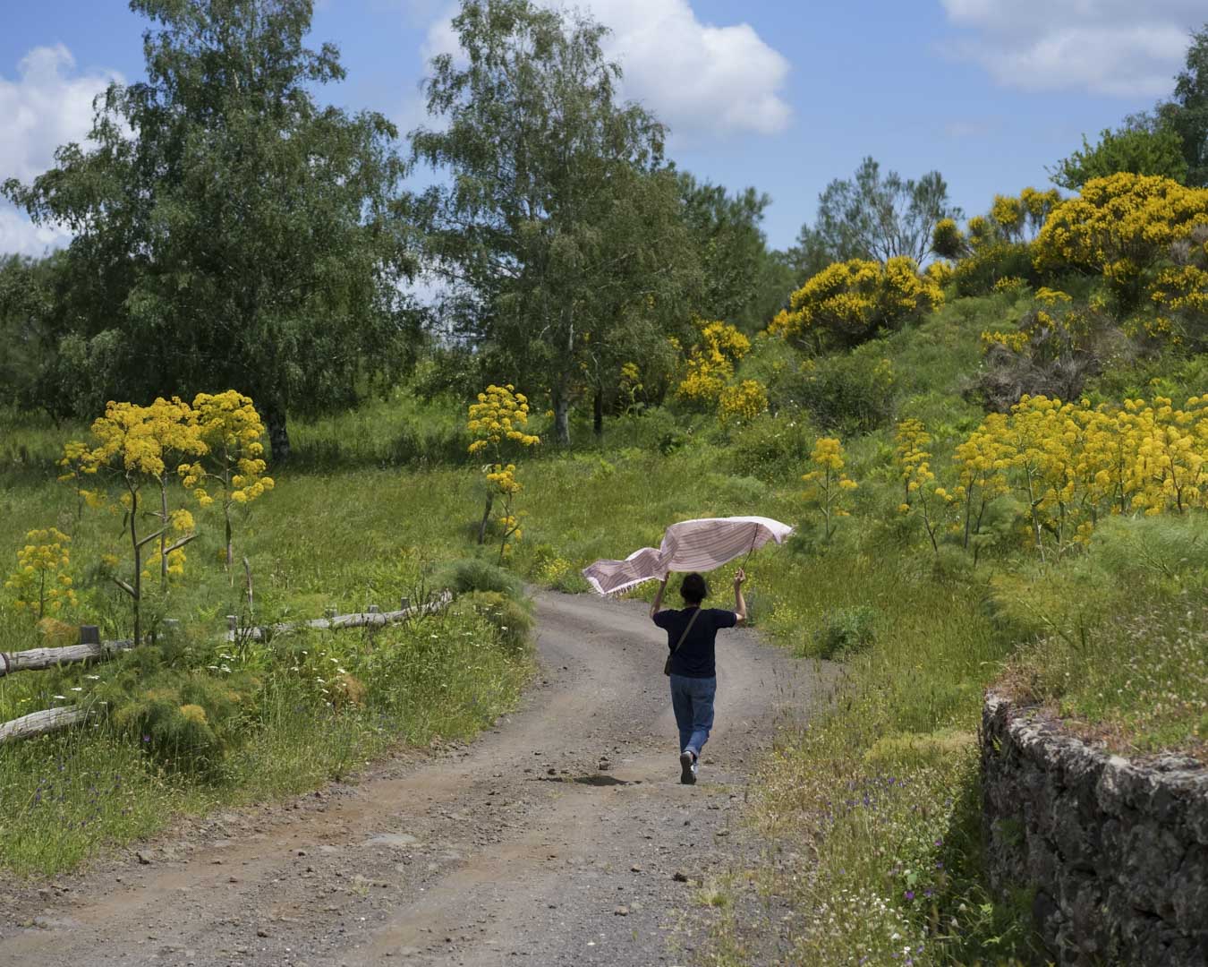 Italy, Sicily, 28 May 2025 - Around Mount Etna